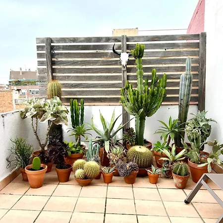 Atic Trobador Apartment